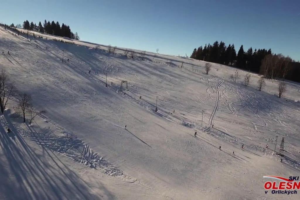 Chatky u potoka, Olešnice v Orlických horách Olesnice v Orlickych horach Exterior foto