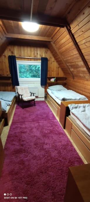 Chatky u potoka, Olešnice v Orlických horách Olesnice v Orlickych horach Exterior foto