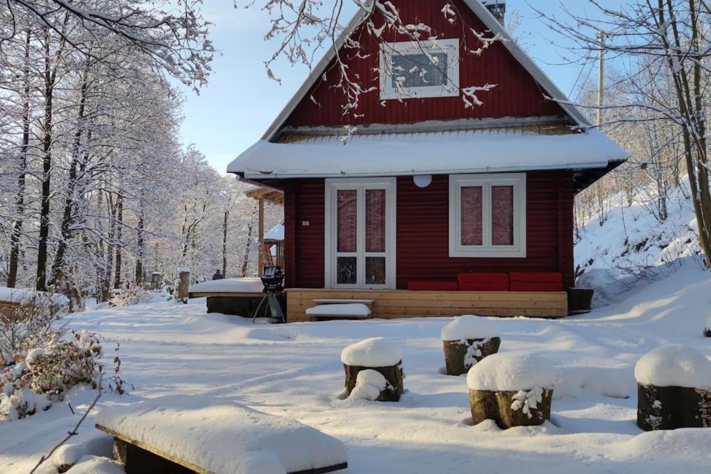 Chatky u potoka, Olešnice v Orlických horách Olesnice v Orlickych horach Exterior foto